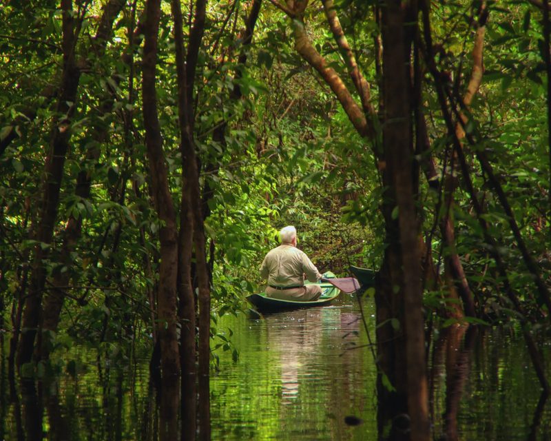 Amazônia selvagem